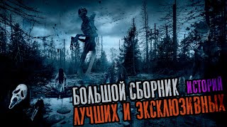 Большой сборник лучших эксклюзивных историй - Сергей Зимин - Слушать Любимую Книгу + Без Рекламы 📲 Slushat-Knigi.Com