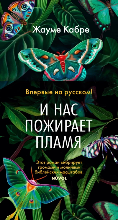 И нас пожирает пламя - Жауме Кабре - Слушать Любимую Книгу + Без Рекламы 📲 Slushat-Knigi.Com