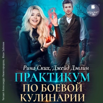 Практикум по боевой кулинарии - Рина Ских, Джейд Дэвлин - Слушать Любимую Книгу + Без Рекламы 📲 Slushat-Knigi.Com