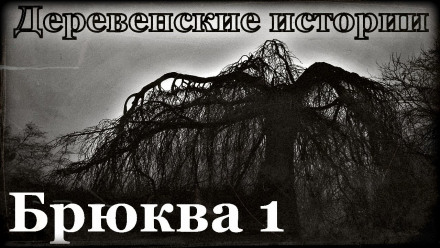 Брюква - Роман Пономарев - Слушать Любимую Книгу + Без Рекламы 📲 Slushat-Knigi.Com