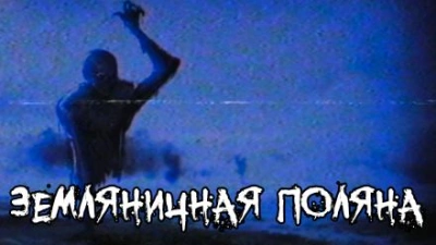 Земляничная поляна - FrFr - Слушать Любимую Книгу + Без Рекламы 📲 Slushat-Knigi.Com