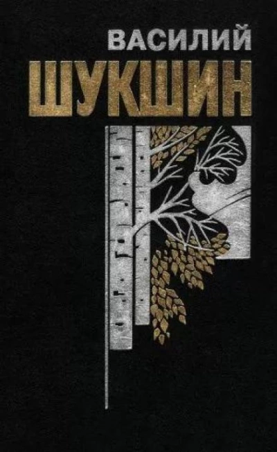 Лёля Селезнёва с факультета журналистики - Василий Шукшин - Слушать Любимую Книгу + Без Рекламы 📲 Slushat-Knigi.Com