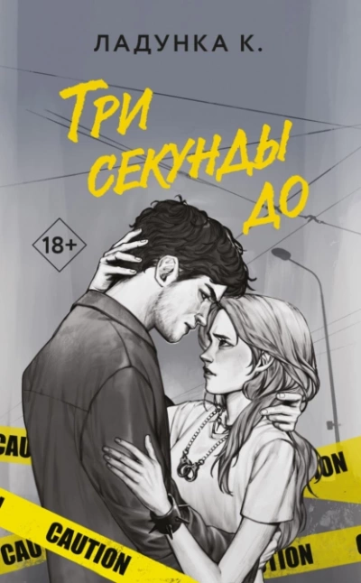 Три секунды до - Ксения Ладунка - Слушать Любимую Книгу + Без Рекламы 📲 Slushat-Knigi.Com