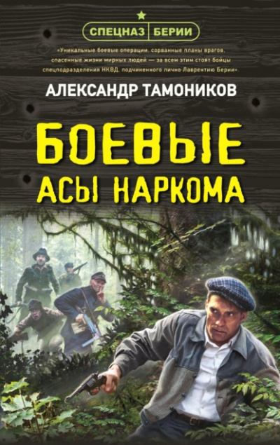 Боевые асы наркома - Александр Тамоников - Слушать Любимую Книгу + Без Рекламы 📲 Slushat-Knigi.Com