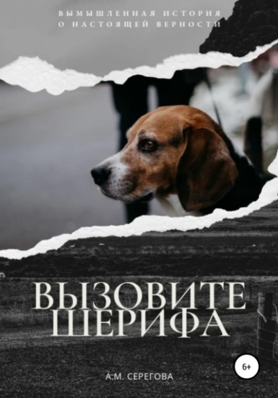 Вызовите шерифа - Эллисон Майклс - Слушать Любимую Книгу + Без Рекламы 📲 Slushat-Knigi.Com