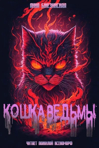 Кошка Ведьмы - Анна Бжезинская - Слушать Любимую Книгу + Без Рекламы 📲 Slushat-Knigi.Com