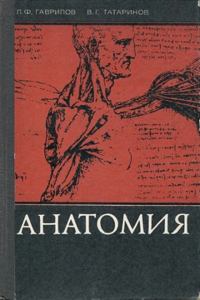 Анатомия - Леопольд Гаврилов - Слушать Любимую Книгу + Без Рекламы 📲 Slushat-Knigi.Com