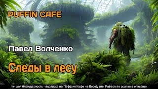 Следы в лесу - Павел Волченко » - Слушать Любимую Книгу + Без Рекламы 📲 Slushat-Knigi.Com