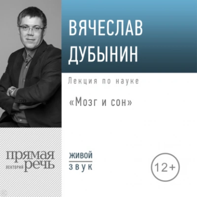 Мозг и сон - Вячеслав Дубынин - Слушать Любимую Книгу + Без Рекламы 📲 Slushat-Knigi.Com