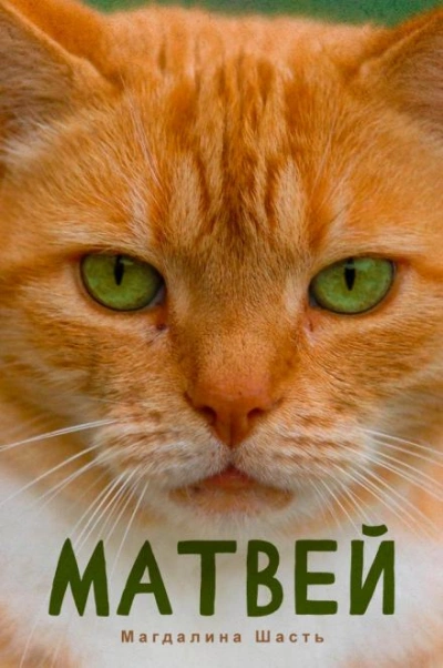 Матвей - Магдалина Шасть - Слушать Любимую Книгу + Без Рекламы 📲 Slushat-Knigi.Com