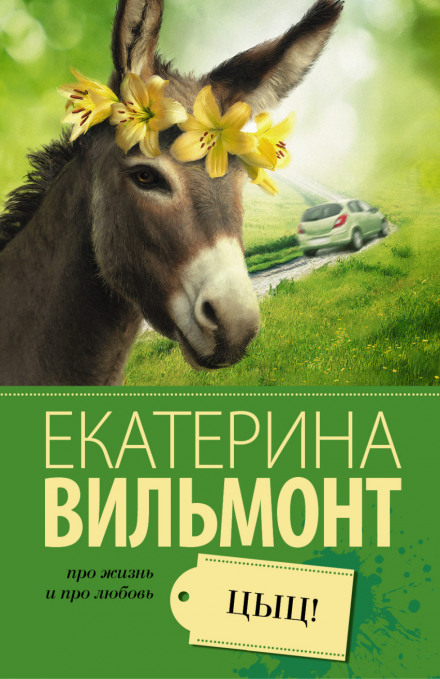 Цыц! - Екатерина Вильмонт - Слушать Любимую Книгу + Без Рекламы 📲 Slushat-Knigi.Com
