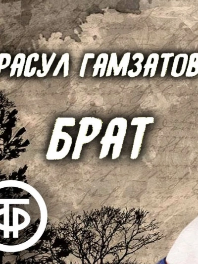 Брат - Расул Гамзатов - Слушать Любимую Книгу + Без Рекламы 📲 Slushat-Knigi.Com