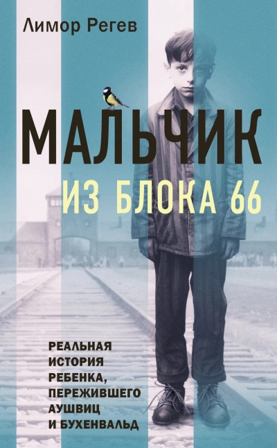 Мальчик из Блока 66. Реальная история ребенка, пережившего Аушвиц и Бухенвальд - Лимор Регев - Слушать Любимую Книгу + Без Рекламы 📲 Slushat-Knigi.Com