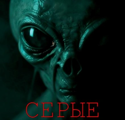 Серые - Алексей Грибанов - Слушать Любимую Книгу + Без Рекламы 📲 Slushat-Knigi.Com