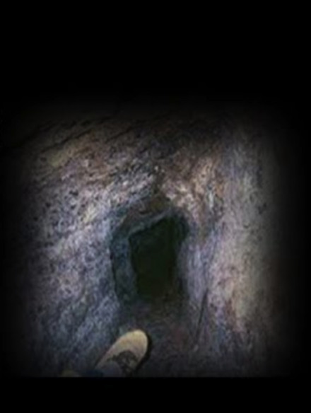 Пещера Теда - Слушать Любимую Книгу + Без Рекламы 📲 Slushat-Knigi.Com