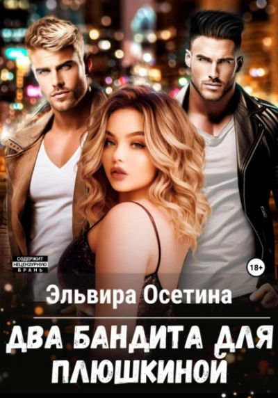 Два бандита для Плюшкиной - Эльвира Осетина - Слушать Любимую Книгу + Без Рекламы 📲 Slushat-Knigi.Com