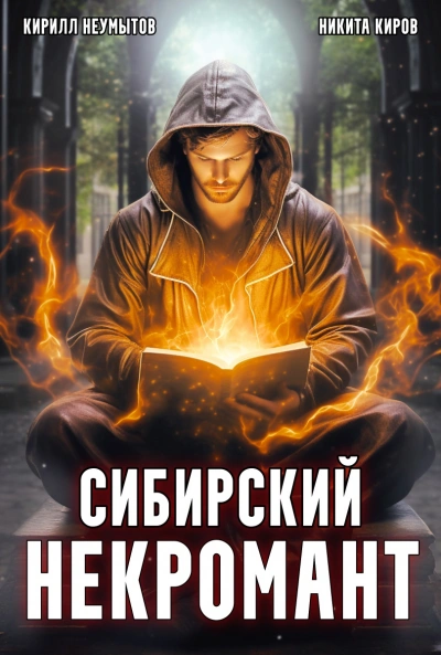 Сибирский некромант - Никита Киров, Кирилл Неумытов - Слушать Любимую Книгу + Без Рекламы 📲 Slushat-Knigi.Com