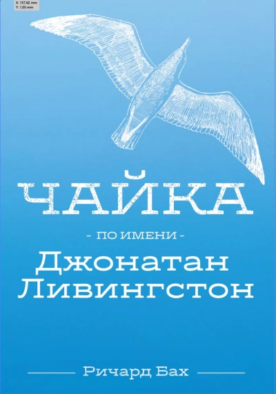 Чайка по имени Джонатан Ливингстон - Ричард Бах - Слушать Любимую Книгу + Без Рекламы 📲 Slushat-Knigi.Com