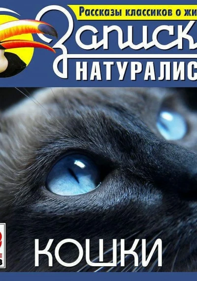 Рассказы классиков о животных. Кошки - Слушать Любимую Книгу + Без Рекламы 📲 Slushat-Knigi.Com