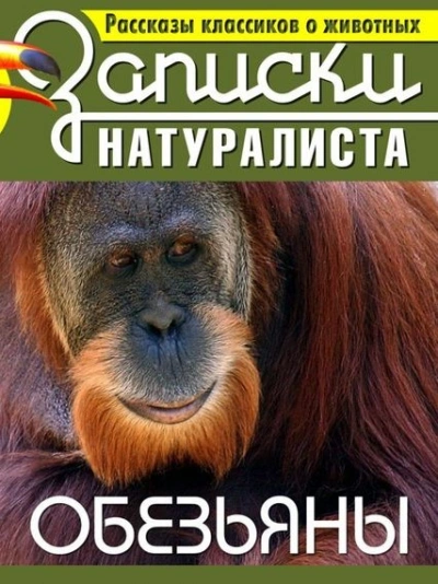 Рассказы классиков о животных. Обезьяны - Слушать Любимую Книгу + Без Рекламы 📲 Slushat-Knigi.Com
