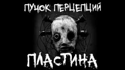Пластина - Пучок Перцепций - Слушать Любимую Книгу + Без Рекламы 📲 Slushat-Knigi.Com
