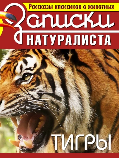 Рассказы классиков о животных. Тигры - Слушать Любимую Книгу + Без Рекламы 📲 Slushat-Knigi.Com