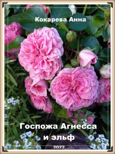 Госпожа Агнесса и эльф - Анна Кокарева - Слушать Любимую Книгу + Без Рекламы 📲 Slushat-Knigi.Com