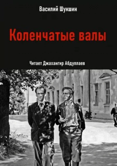 Коленчатые валы - Василий Шукшин - Слушать Любимую Книгу + Без Рекламы 📲 Slushat-Knigi.Com