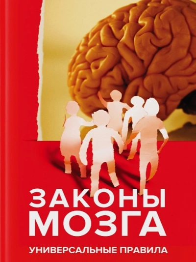 Законы мозга. Универсальные правила - Андрей Курпатов - Слушать Любимую Книгу + Без Рекламы 📲 Slushat-Knigi.Com