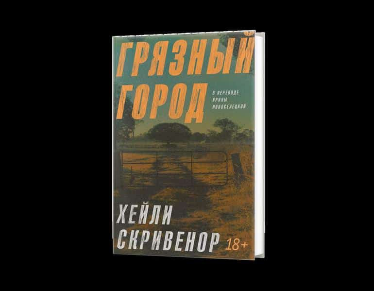 Грязные тайны маленьких городов. 5 книг, которые интригуют. Фото №5