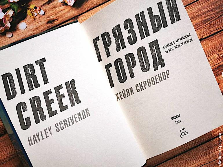 Запутанная история одного исчезновения — роман «Грязный город». Фото №4