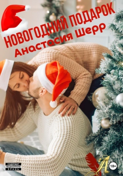 Новогодний подарок - Анастасия Шерр - Слушать Любимую Книгу + Без Рекламы 📲 Slushat-Knigi.Com