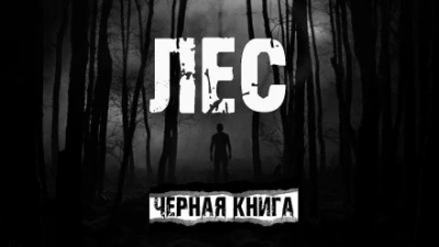 Лес - AkimSARR - Слушать Любимую Книгу + Без Рекламы 📲 Slushat-Knigi.Com