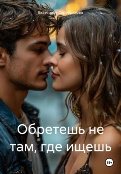 Обретешь не там, где ищешь - Екатерина Серебрякова - Слушать Любимую Книгу + Без Рекламы 📲 Slushat-Knigi.Com