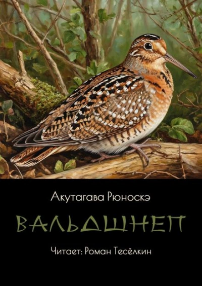 Вальдшнеп - Рюноскэ Акутагава - Слушать Любимую Книгу + Без Рекламы 📲 Slushat-Knigi.Com
