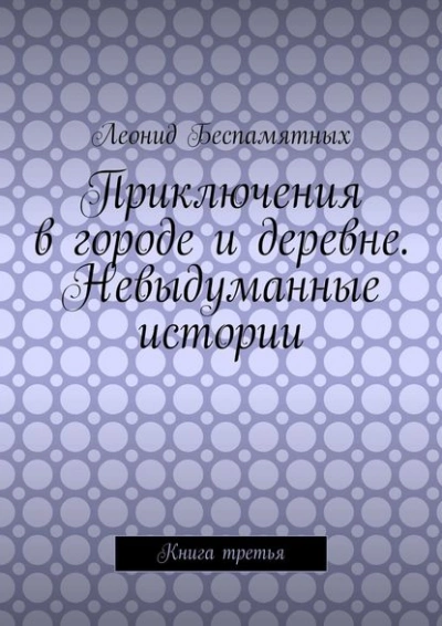 Приключения в городе и деревне. Невыдуманные истории - Леонид Беспамятных - Слушать Любимую Книгу + Без Рекламы 📲 Slushat-Knigi.Com
