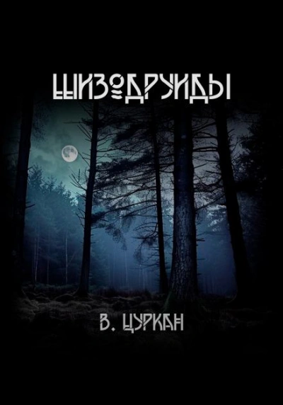 Шизодруиды - Валерий Цуркан - Слушать Любимую Книгу + Без Рекламы Slushat-Knigi.Com