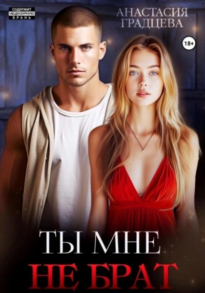 Ты мне не брат - Анастасия Градцева - Слушать Любимую Книгу + Без Рекламы Slushat-Knigi.Com