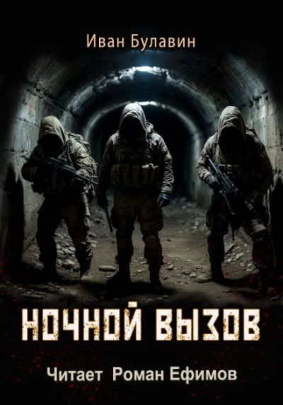 Ночной вызов - Иван Булавин - Слушать Любимую Книгу + Без Рекламы Slushat-Knigi.Com