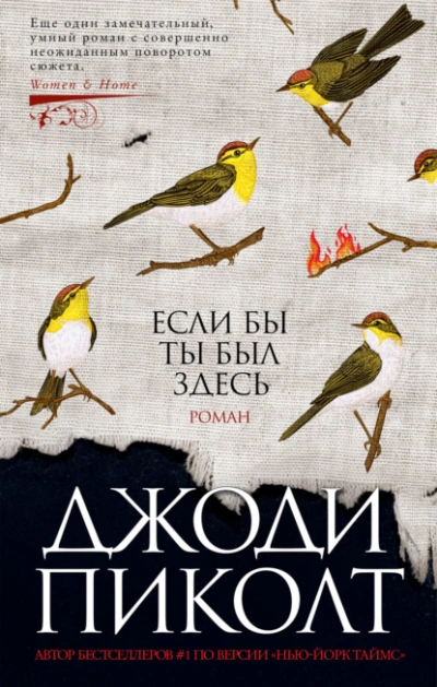 Если бы ты был здесь - Джоди Пиколт - Слушать Любимую Книгу + Без Рекламы Slushat-Knigi.Com