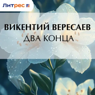 Два конца - Викентий Вересаев - Слушать Любимую Книгу + Без Рекламы Slushat-Knigi.Com