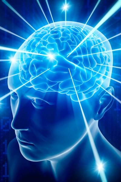 Лекция «Разум креативный и беспредельный. День третий: Наука о мозге человека: новейшие открытия, - Александр Каплан - Слушать Любимую Книгу + Без Рекламы Slushat-Knigi.Com