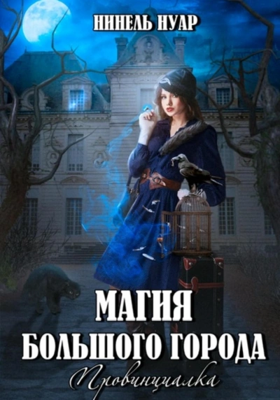Провинциалка - Нинель Нуар » - Слушать Любимую Книгу + Без Рекламы 📲 Slushat-Knigi.Com