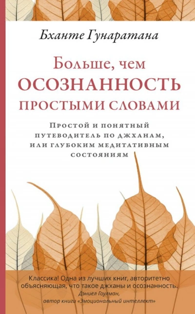 Больше, чем осознанность простыми словами. Простой и понятный путеводитель по джханам, или глубоким - Бханте Хенепола Гунаратана - Слушать Любимую Книгу + Без Рекламы Slushat-Knigi.Com