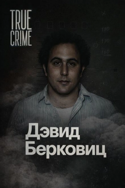 Письма, которые взорвали город - Слушать Любимую Книгу + Без Рекламы Slushat-Knigi.Com