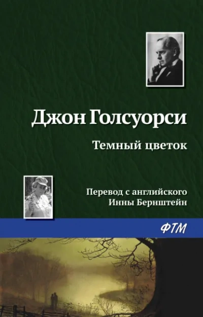 Темный Цветок - Джон Голсуорси - Слушать Любимую Книгу + Без Рекламы Slushat-Knigi.Com
