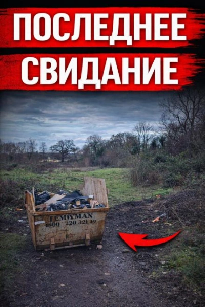 Исчезновение, которое потрясло Британию - Слушать Любимую Книгу + Без Рекламы Slushat-Knigi.Com