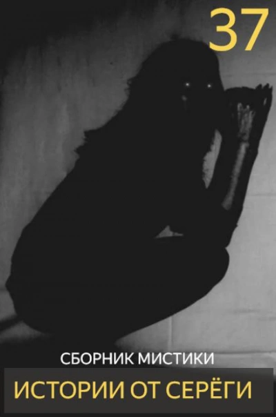 Истории от Серёги 37 - Слушать Любимую Книгу + Без Рекламы Slushat-Knigi.Com
