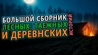 Большой сборник таежных и деревенских историй - Сергей Зимин - Слушать Любимую Книгу + Без Рекламы 📲 Slushat-Knigi.Com
