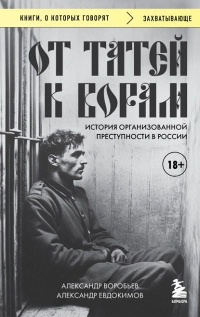 От татей к ворам. История организованной преступности в России - Александр Воробьев, Александр Евдокимов - Слушать Любимую Книгу + Без Рекламы Slushat-Knigi.Com